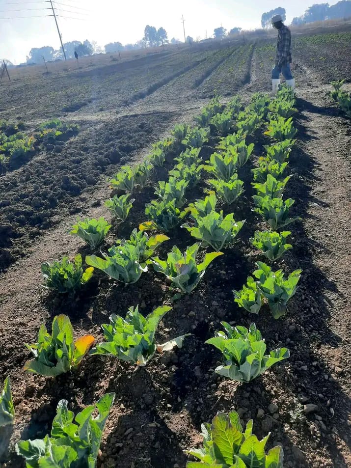 Farming 2